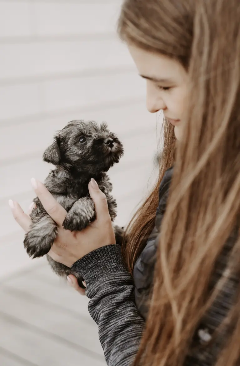 Vanessa Drost - Zwergschnauzer Züchter der Eichsfelder Rasselbande